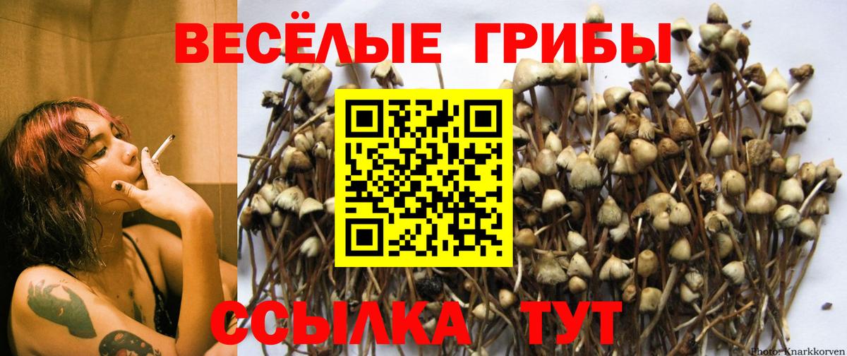 Галлюциногенные грибы Cubensis Алушта